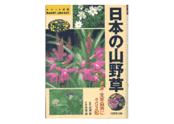 楽天ブックス 日本の山野草 安藤博 本 楽天ブックス 日本の山野草 安藤博 本